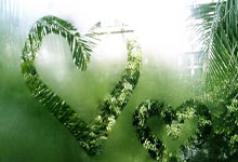 波黑主场不敌罗马尼亚,出线希望减少